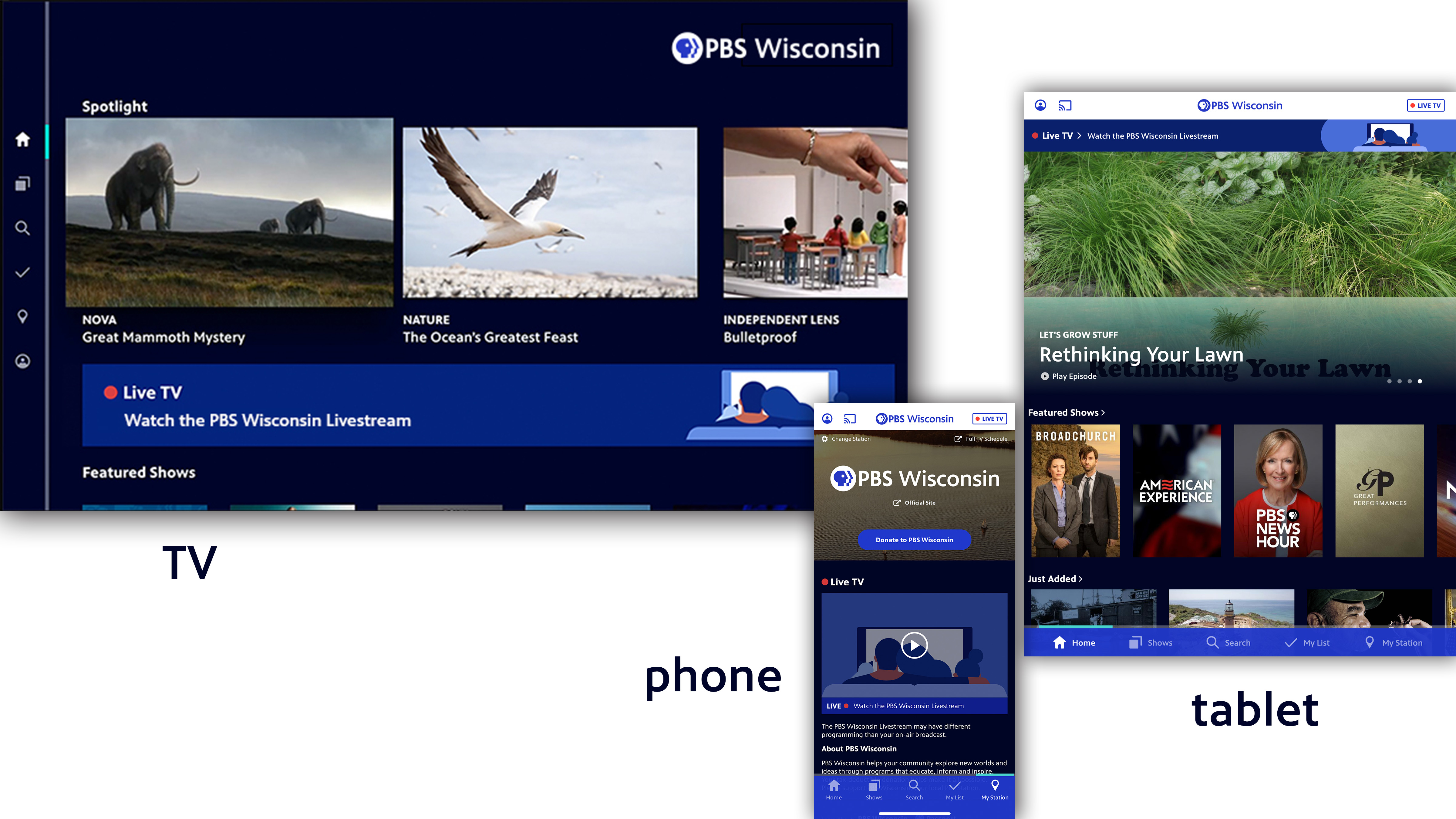 pbs video app on tv, phone and tablet