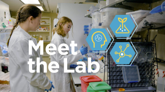 Meet the Lab