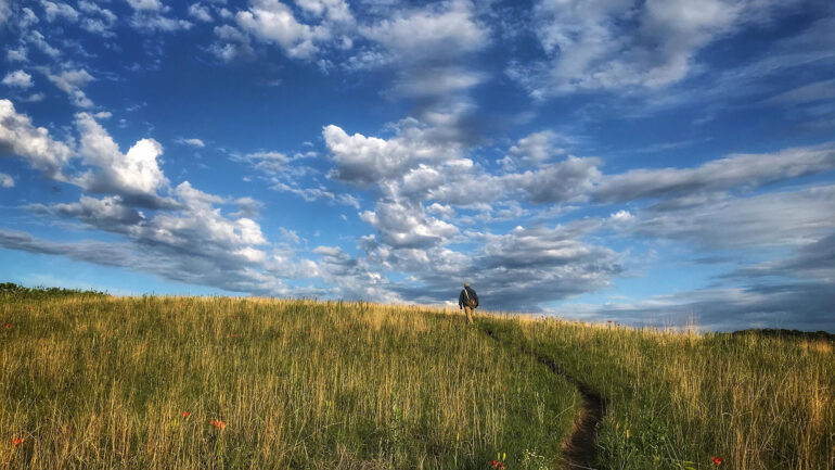 Scenic Treasures: Southern Vistas