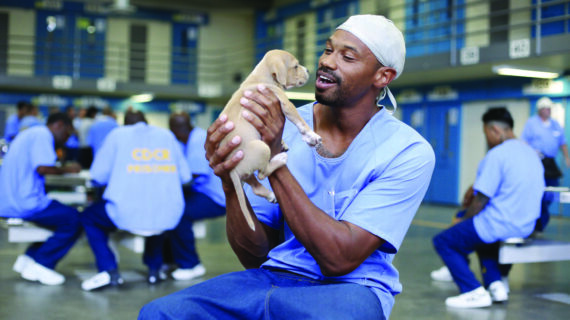 A man inside a prison holds a young puppy