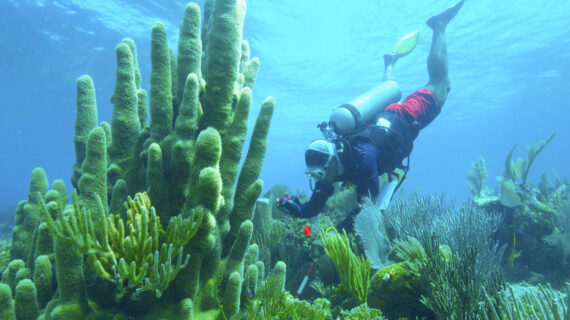 Celebrate Earth Month 2023 with these PBS programs!