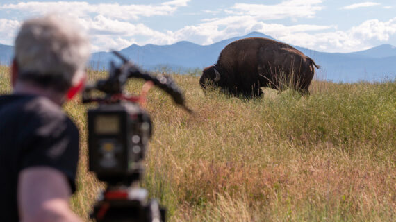 Deep dive into new documentaries this October on PBS Wisconsin