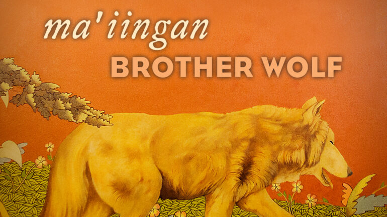Ma’iingan: Brother Wolf