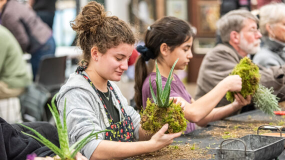 People sit at a long table, inspecting the roots of succulents and other plants.