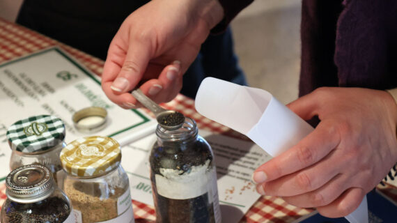 Someone measures out seeds with a teaspoon, ready to scoop them into an open envelope.