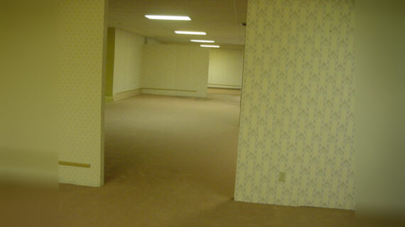 How a furniture store in Oshkosh became a portal to another dimension A slightly diagonal view into an empty indoor space with a uniform beige carpet. The drop ceiling has a visible column of rectangular light fixtures. The space is partitioned by interior walls. The muted wallpaper has repeating vertical chevrons and appears to be light yellow. No doors, windows or furniture of any kind are present.