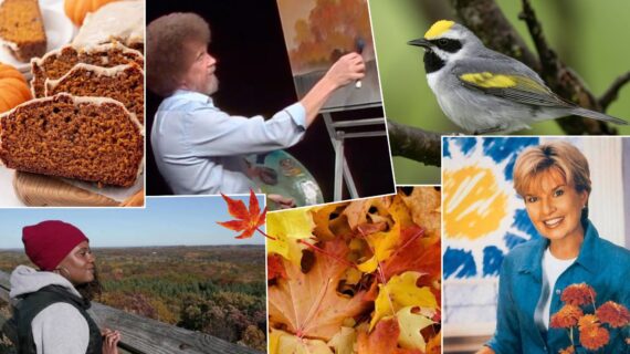 Easing into autumn with PBS Collage of images evoking autumn, including pumpkin bread on a serving platter, Bob Ross painting a fall scene, a woman looking over trees with multi-colored leaves, a pile of red, orange and yellow leaves, a warbler and a woman holding up a vase of zinnias.
